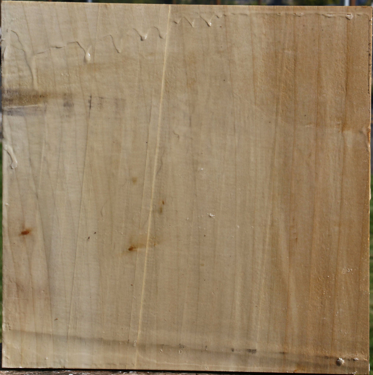 Silver Maple Bowl Blank