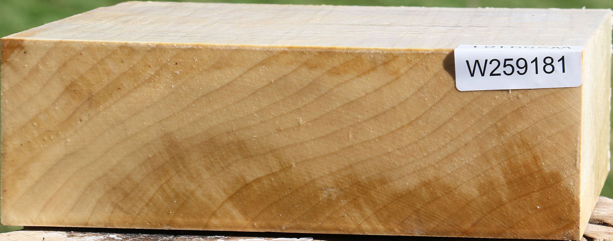 Silver Maple Bowl Blank