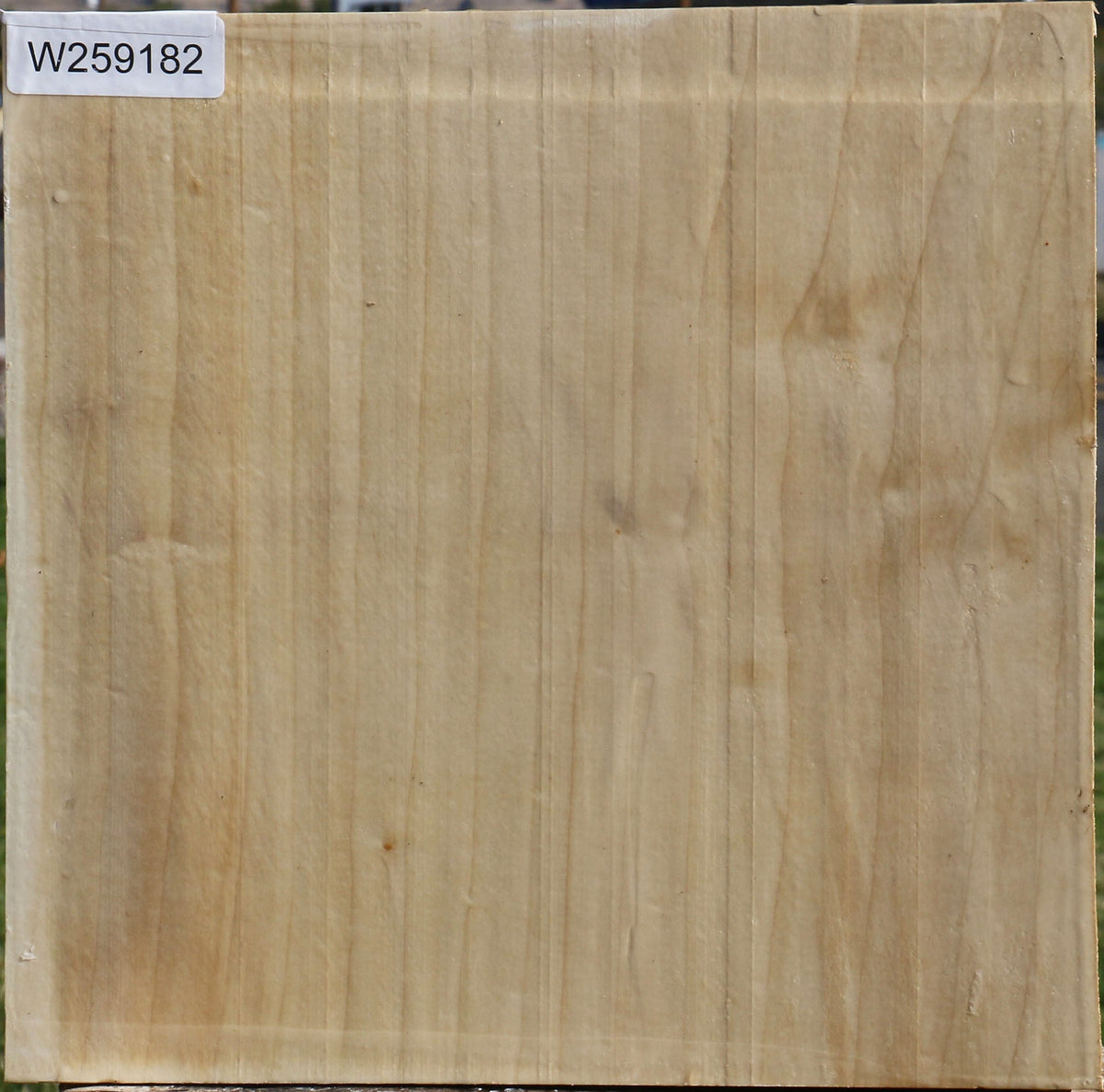 Silver Maple Bowl Blank