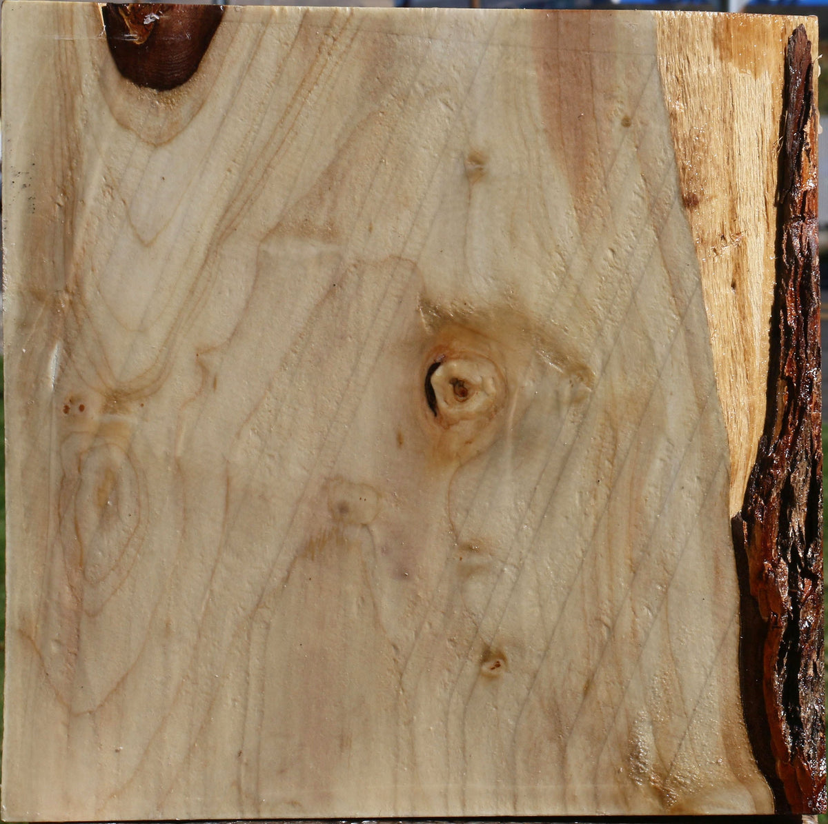 Silver Maple Bowl Blank