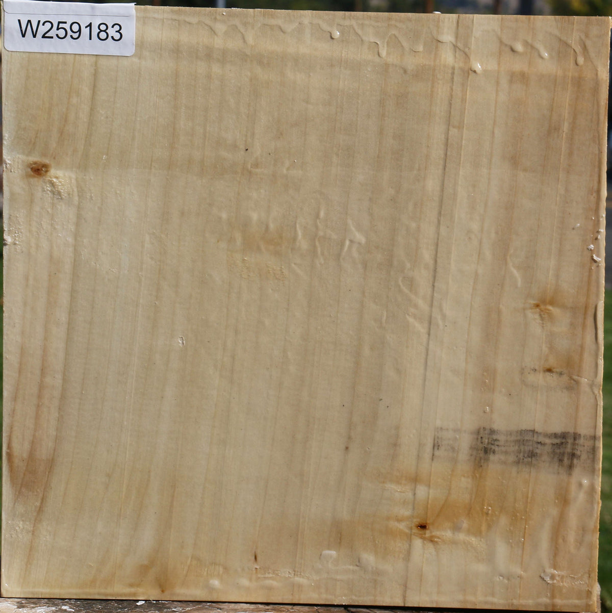 Silver Maple Bowl Blank