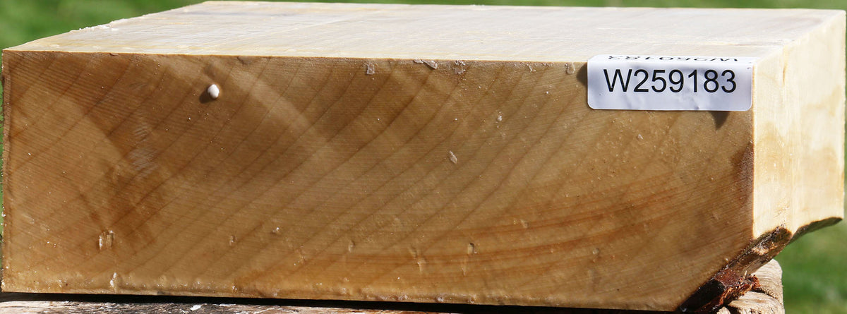 Silver Maple Bowl Blank