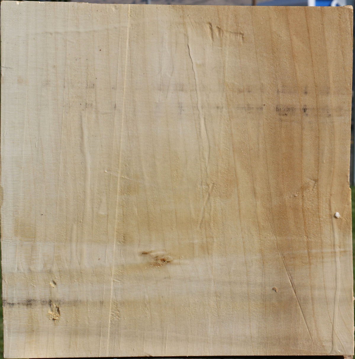 Figured Silver Maple Bowl Blank
