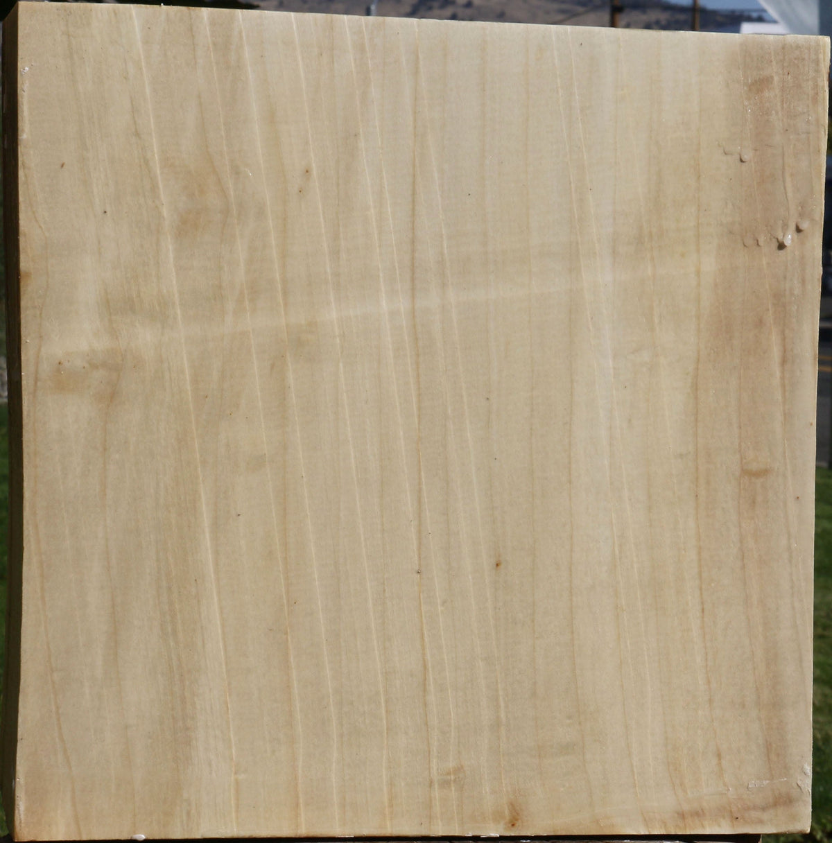 Figured Quartersawn Silver Maple Bowl Blank