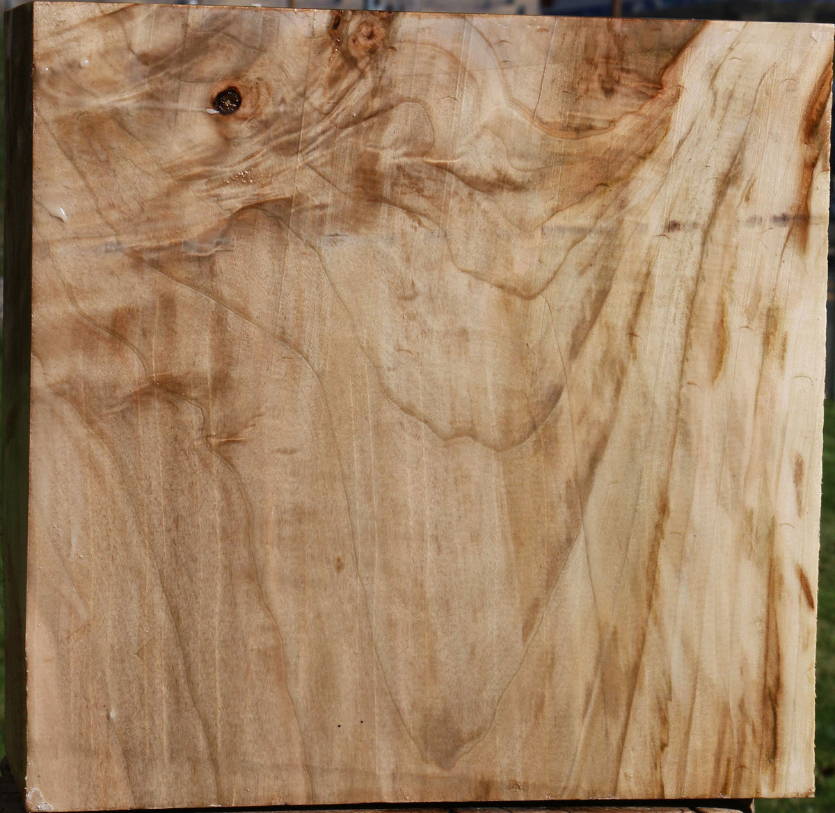 Figured Silver Maple Bowl Blank