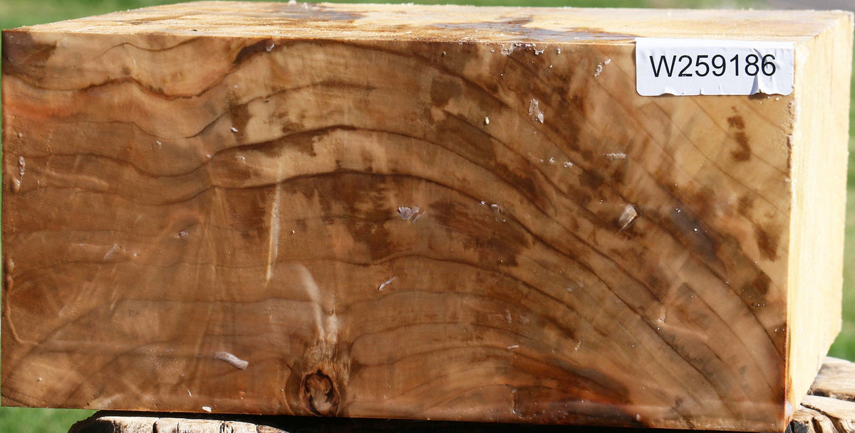 Figured Silver Maple Bowl Blank