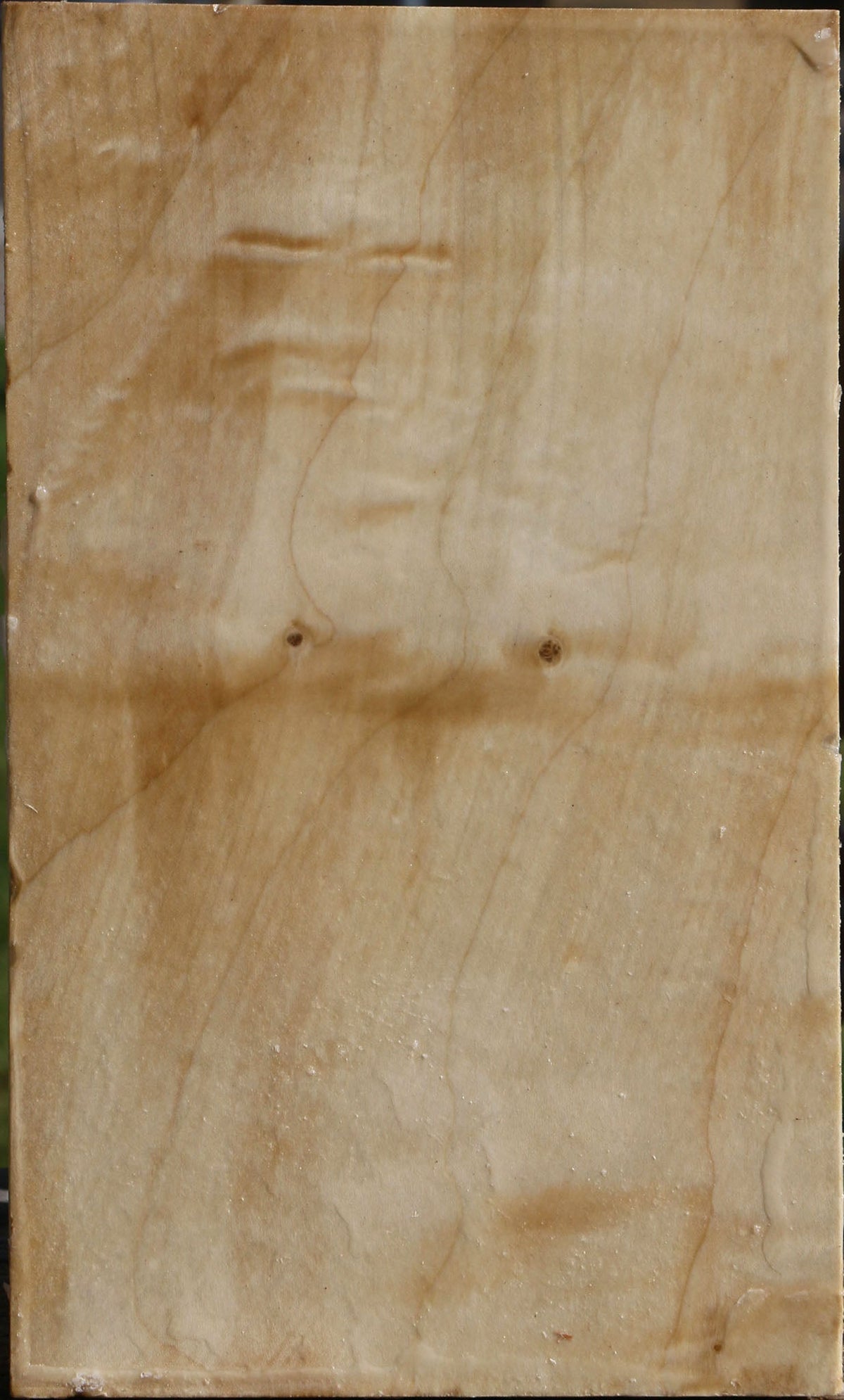 Silver Maple Vessel Blank