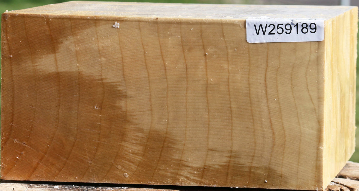 Quartersawn Silver Maple Bowl Blank