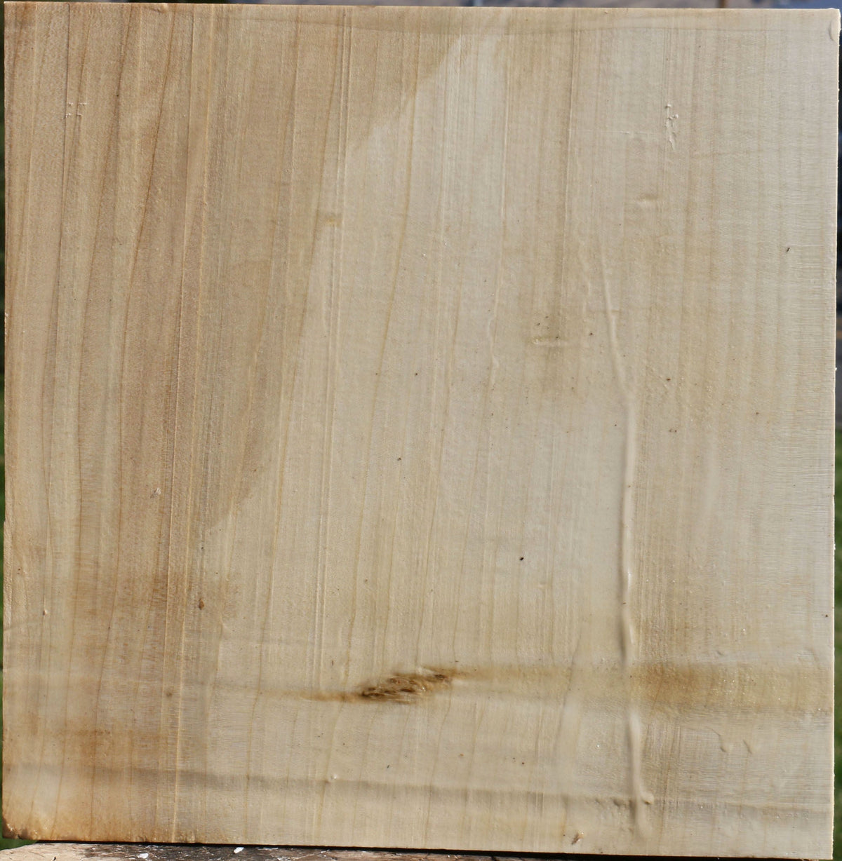 Quartersawn Silver Maple Bowl Blank