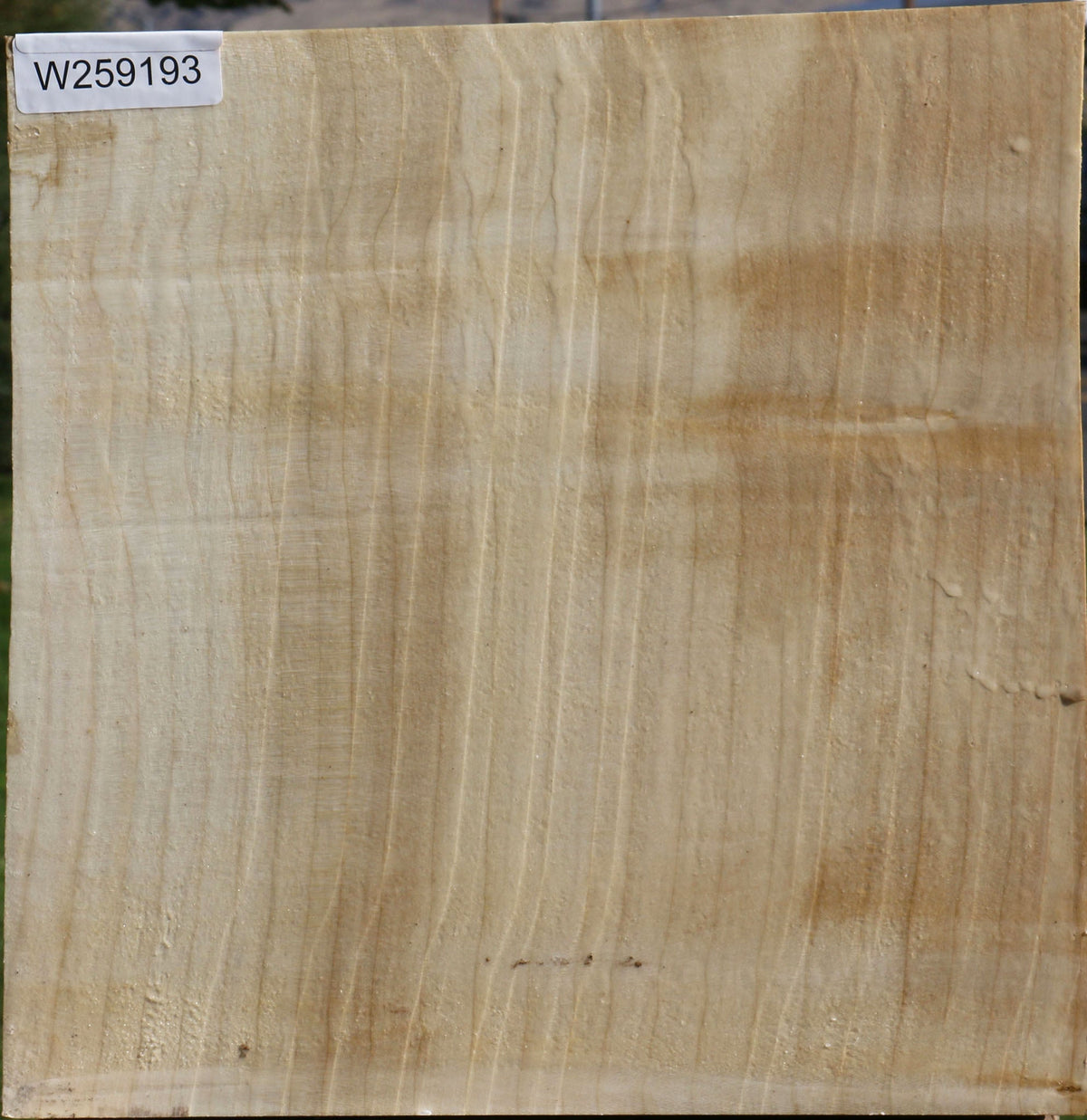 Figured Quartersawn Silver Maple Bowl Blank