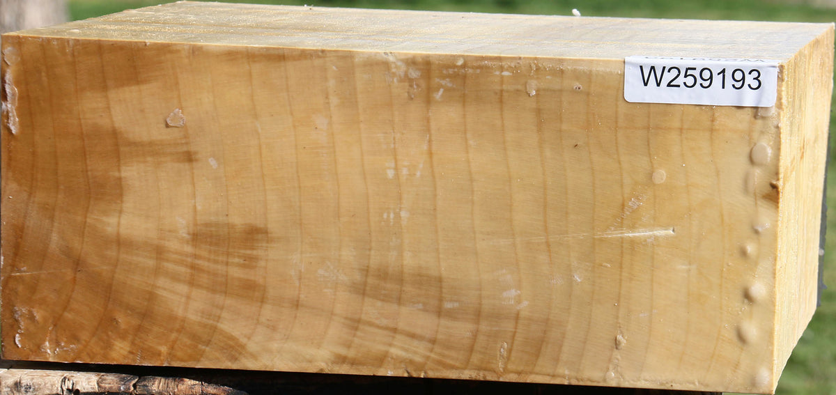 Figured Quartersawn Silver Maple Bowl Blank