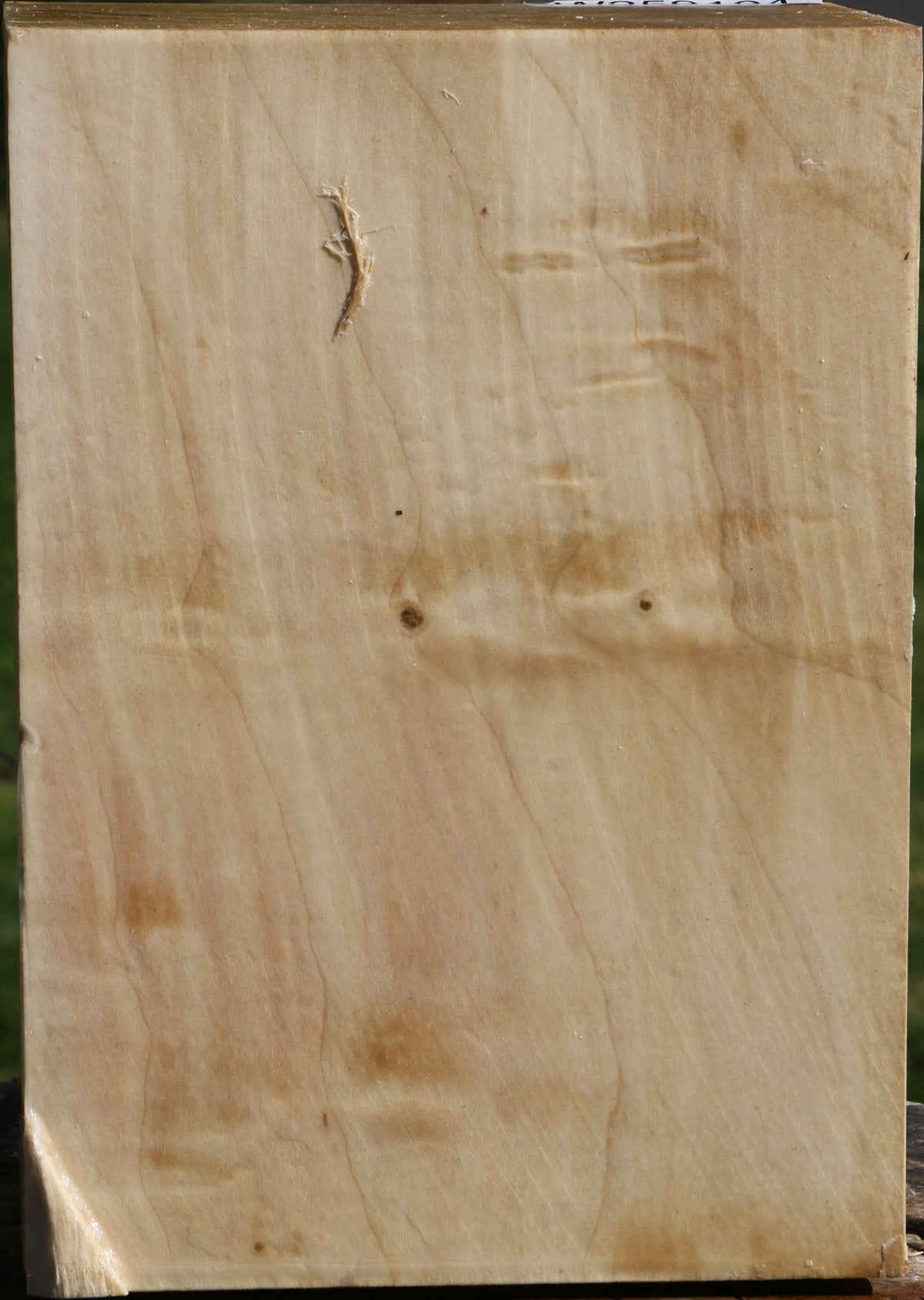 Figured Silver Maple Vessel Blank