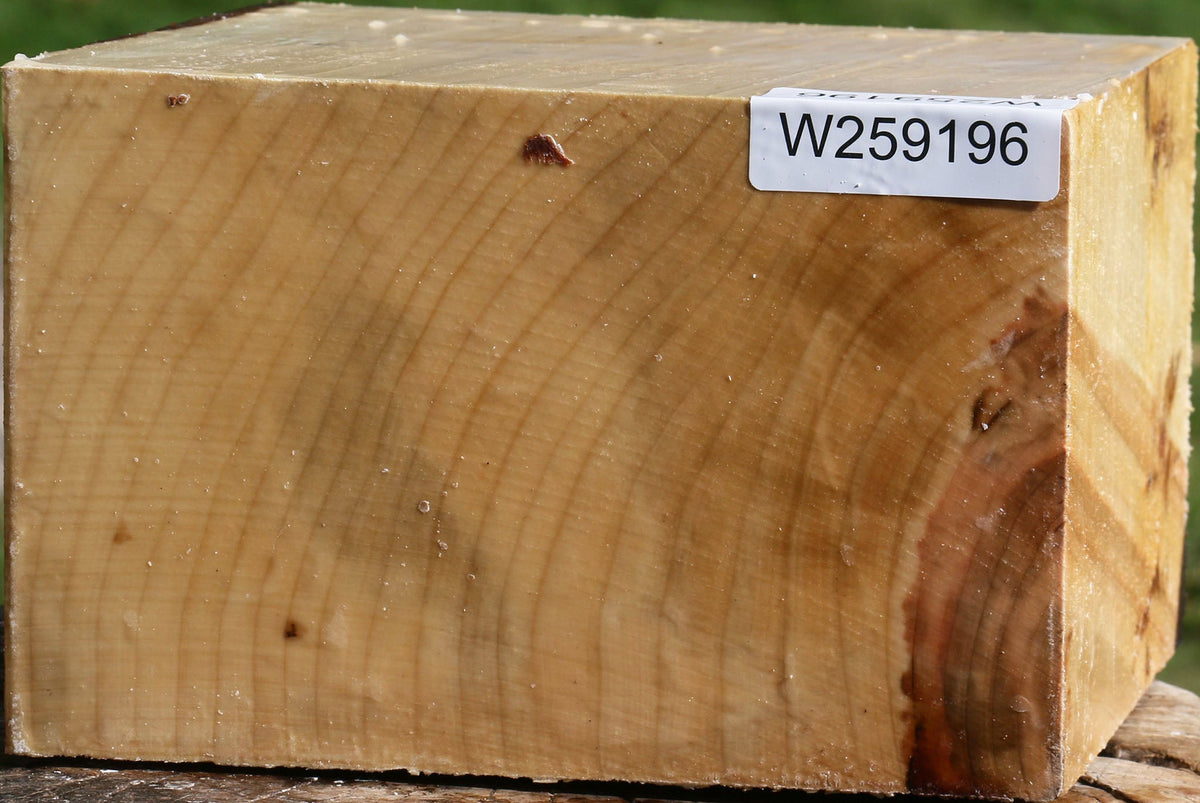 Silver Maple Bowl Blank