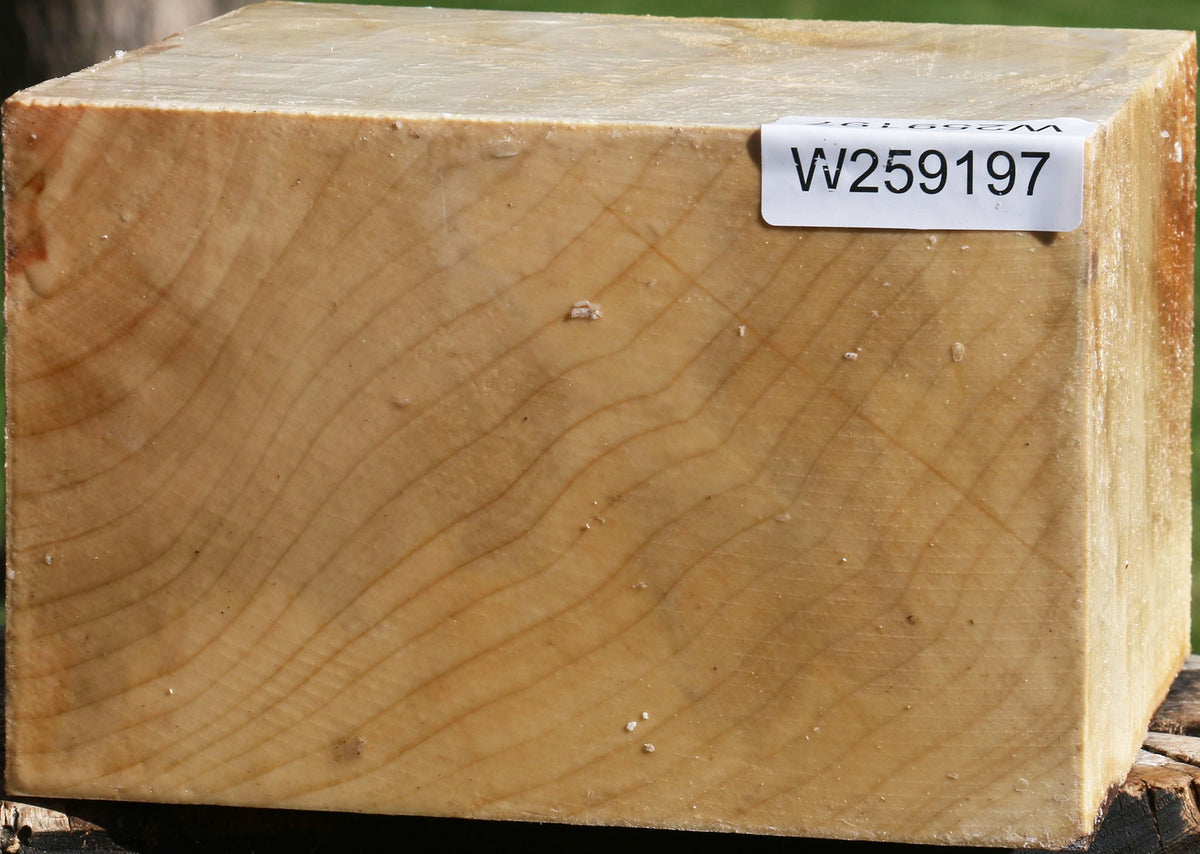Extra Fancy Silver Maple Bowl Blank