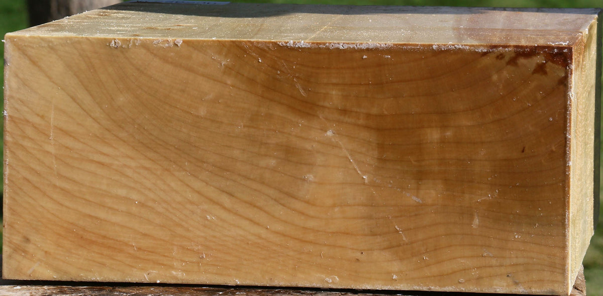 Silver Maple Bowl Blank
