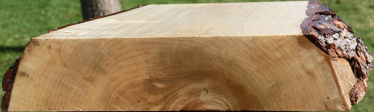 Silver Maple Live Edge Platter Blank