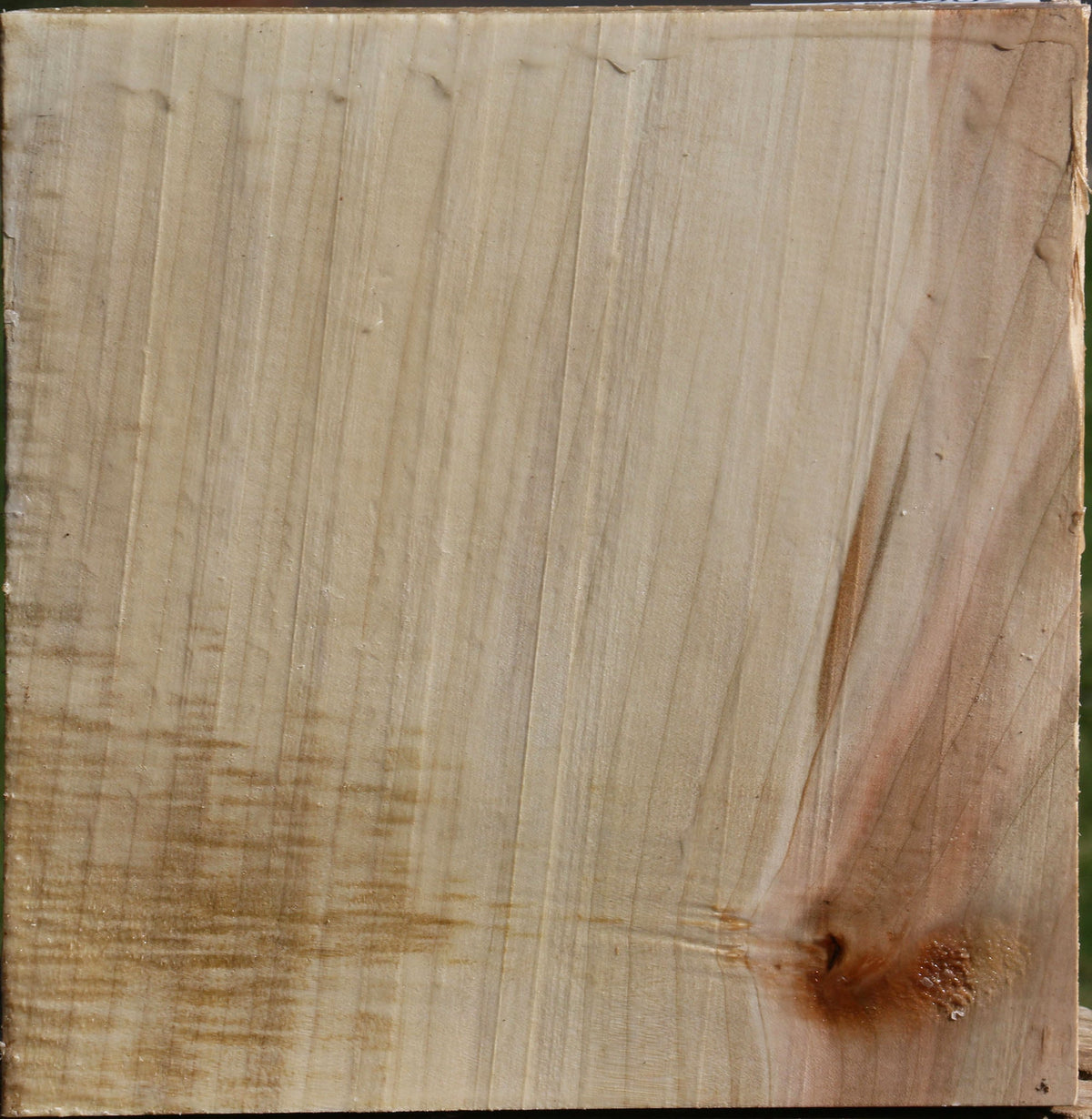 Silver Maple Bowl Blank