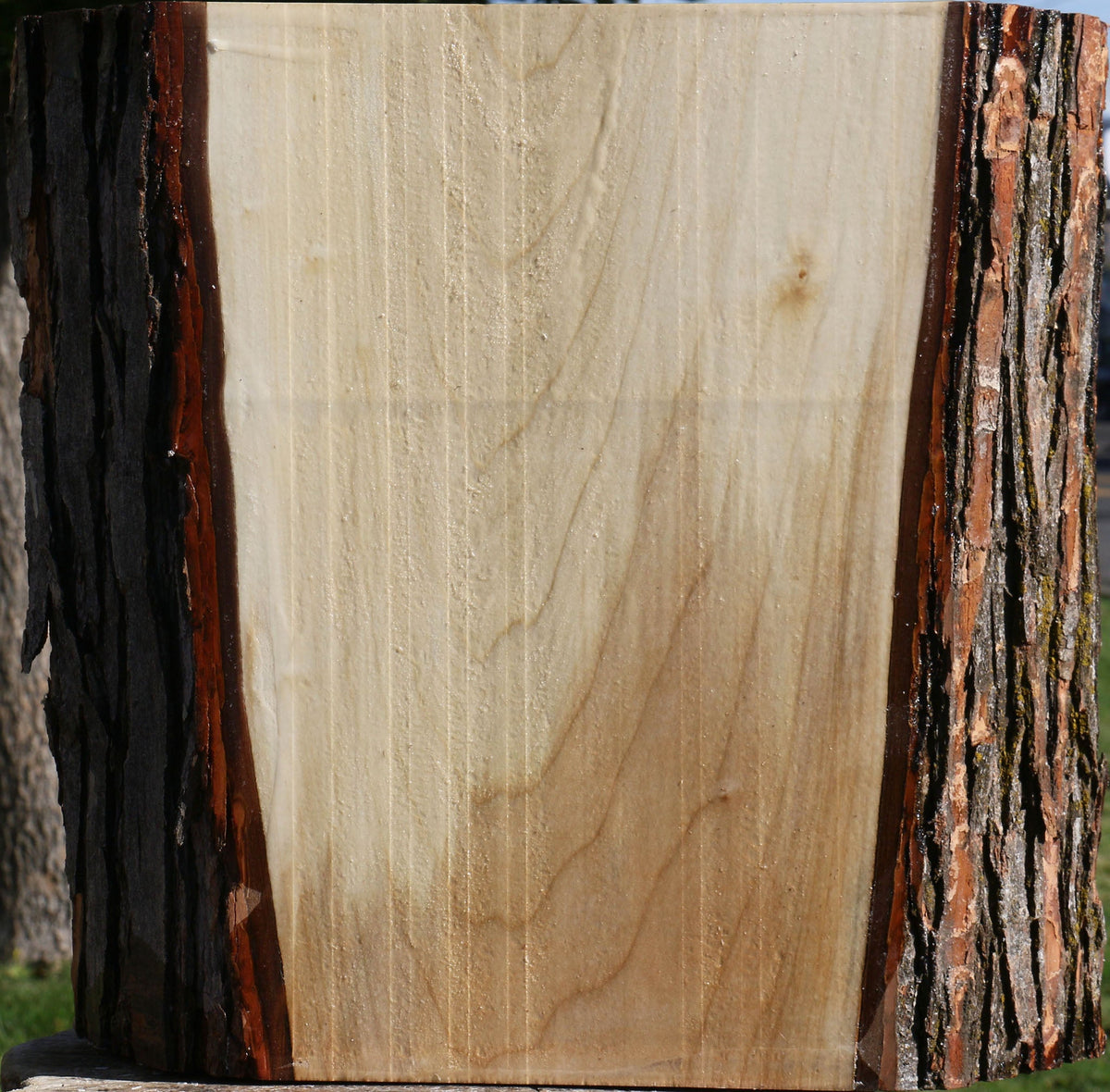 Silver Maple Live Edge Platter Blank