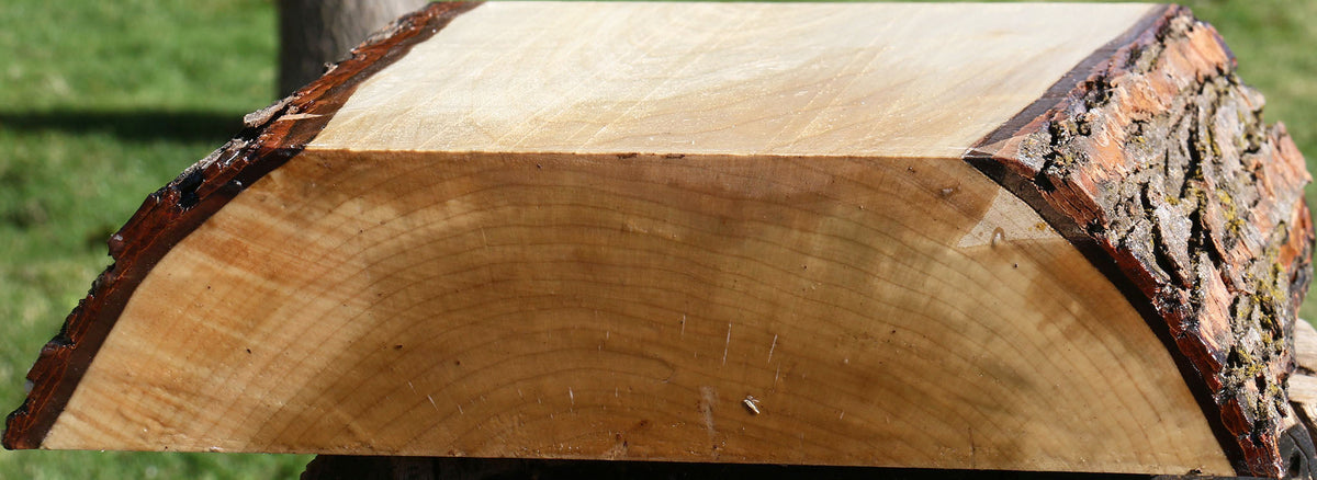 Silver Maple Live Edge Platter Blank
