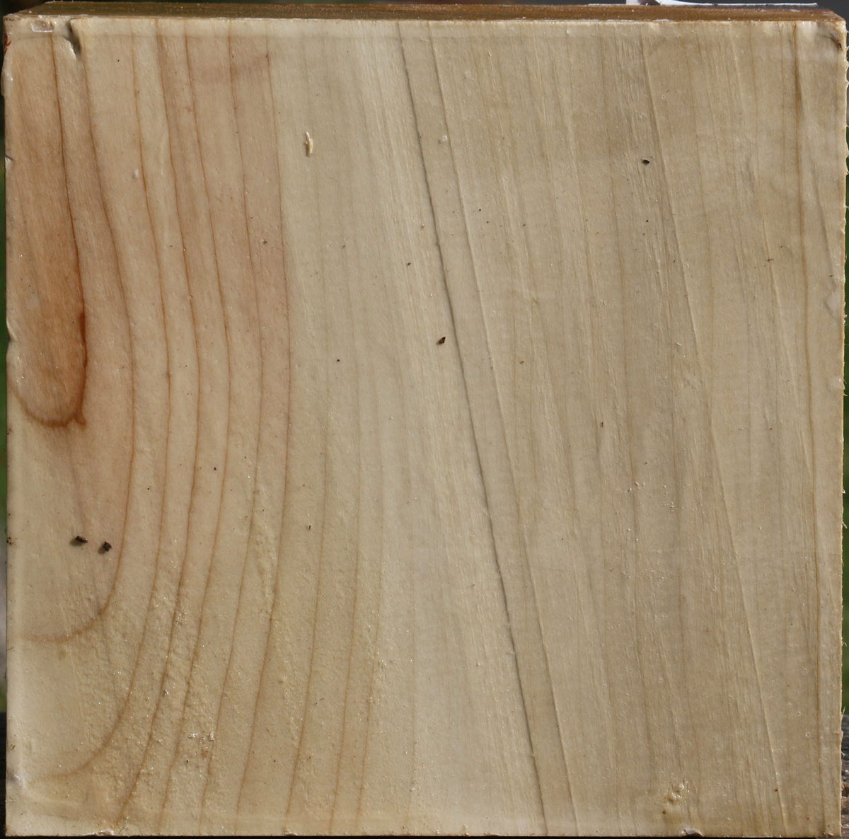 Silver Maple Bowl Blank