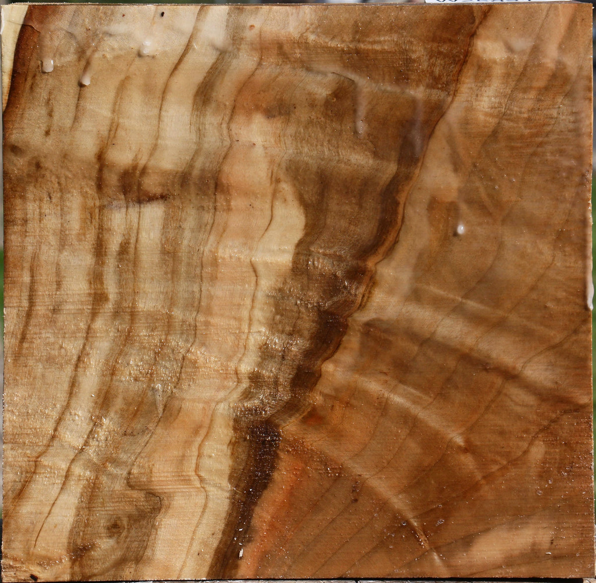 Extra Fancy Silver Maple Bowl Blank