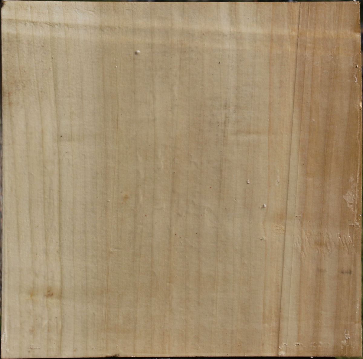 Silver Maple Bowl Blank