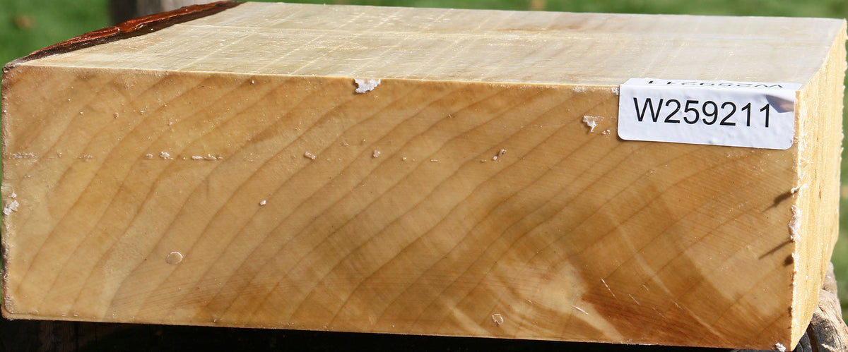 Silver Maple Bowl Blank