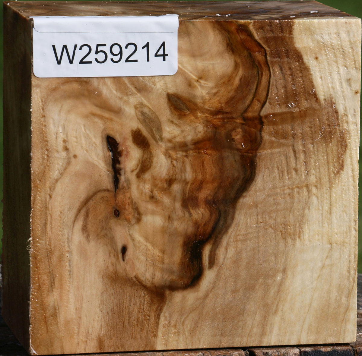 Extra Fancy Silver Maple Bowl Blank