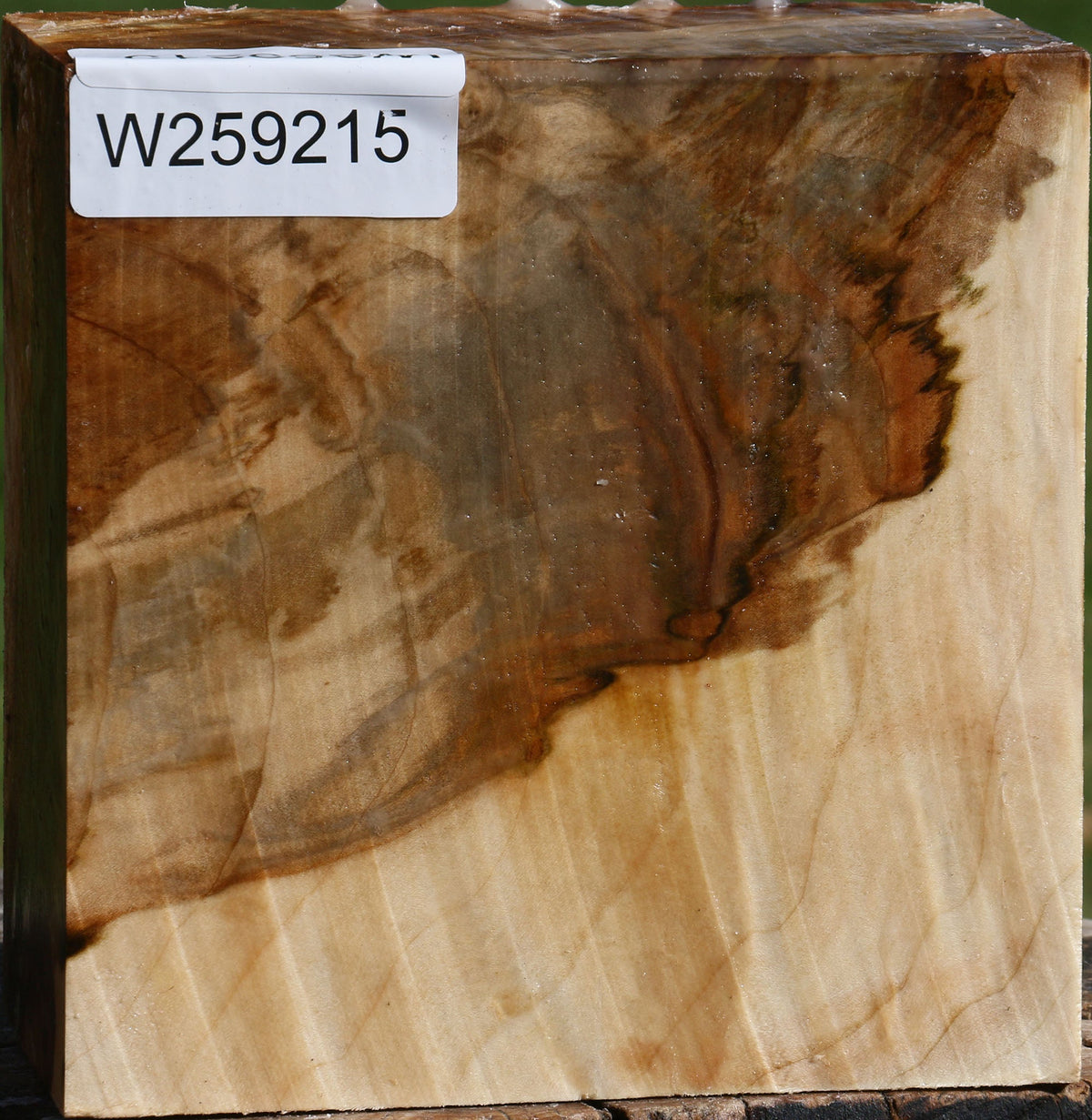 Extra Fancy Silver Maple Bowl Blank