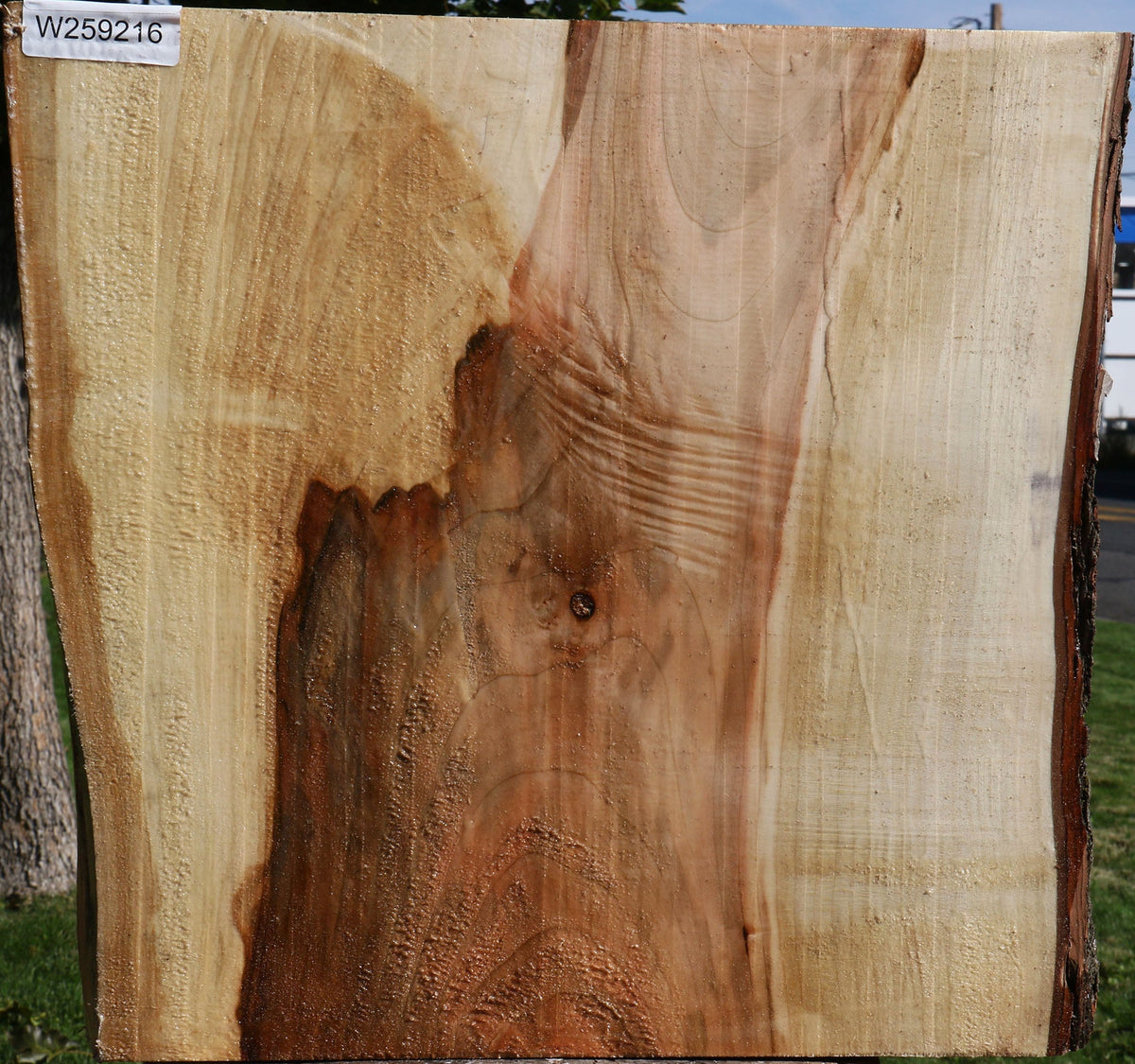 Figured Silver Maple Live Edge Platter Blank
