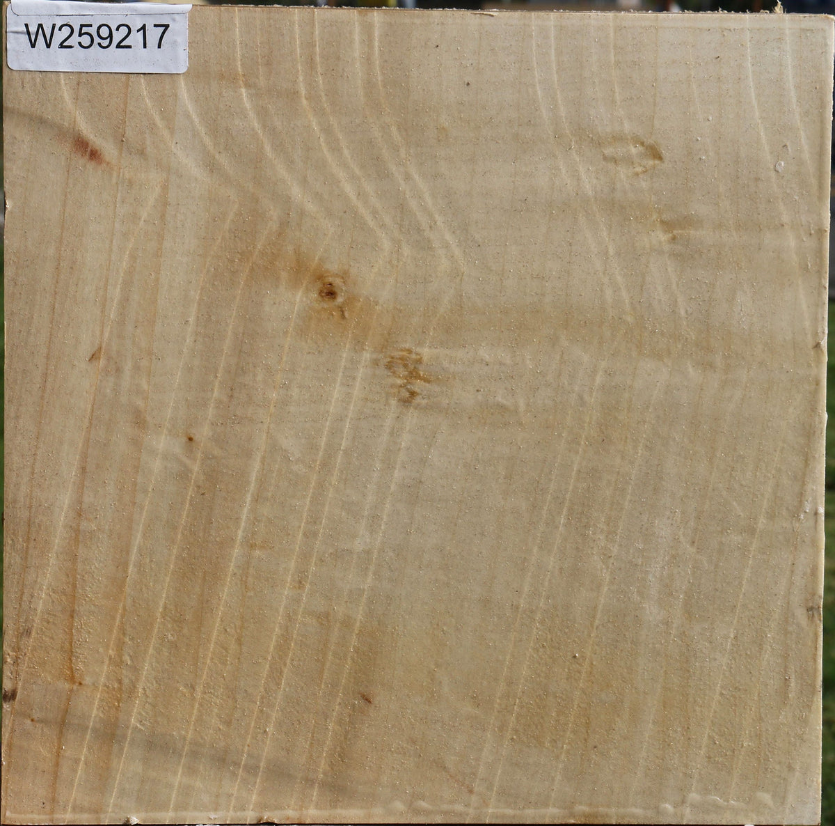 Silver Maple Bowl Blank
