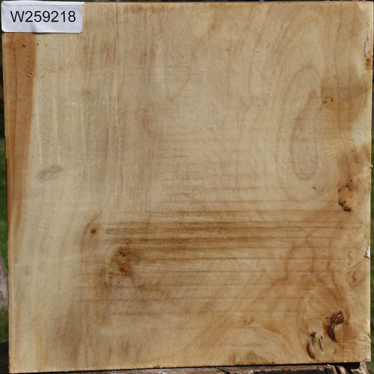 Silver Maple Bowl Blank