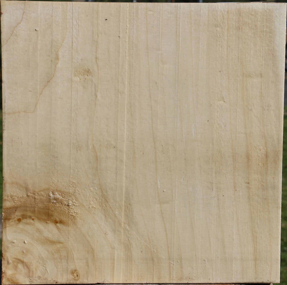 Silver Maple Bowl Blank