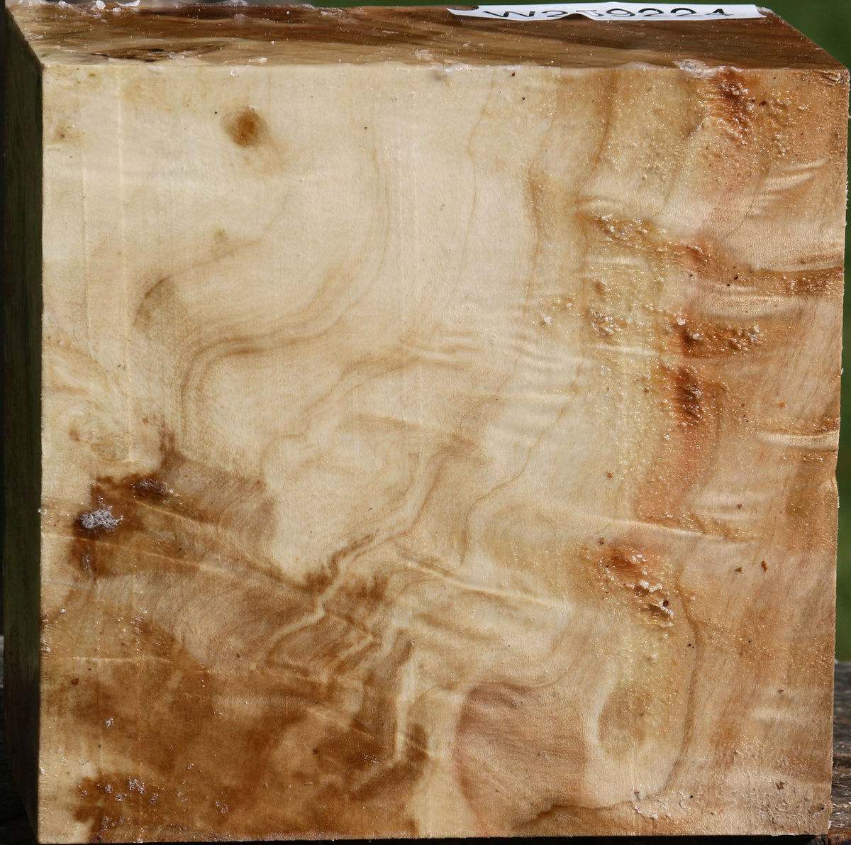 Extra Fancy Silver Maple Bowl Blank