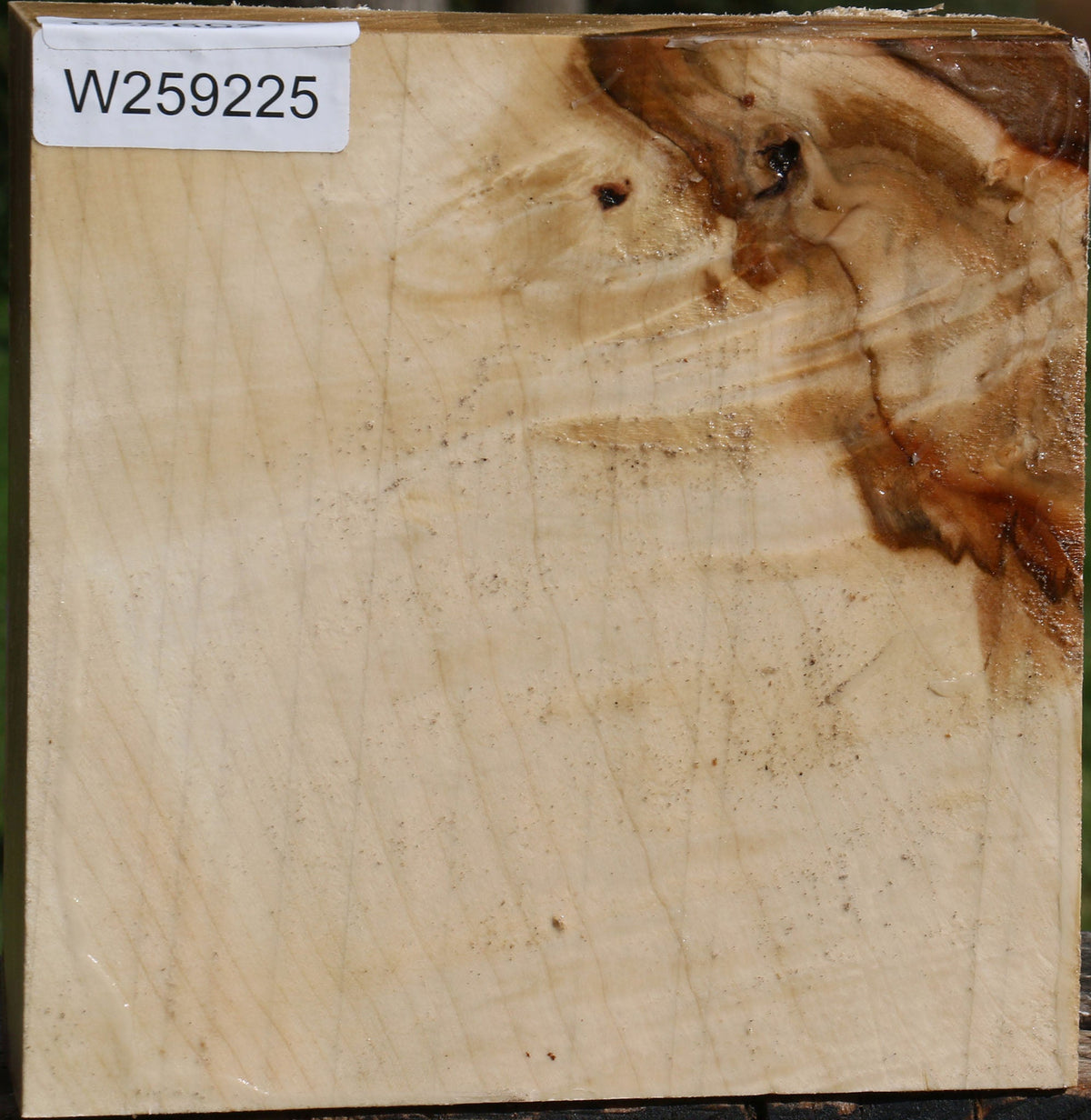 Silver Maple Bowl Blank