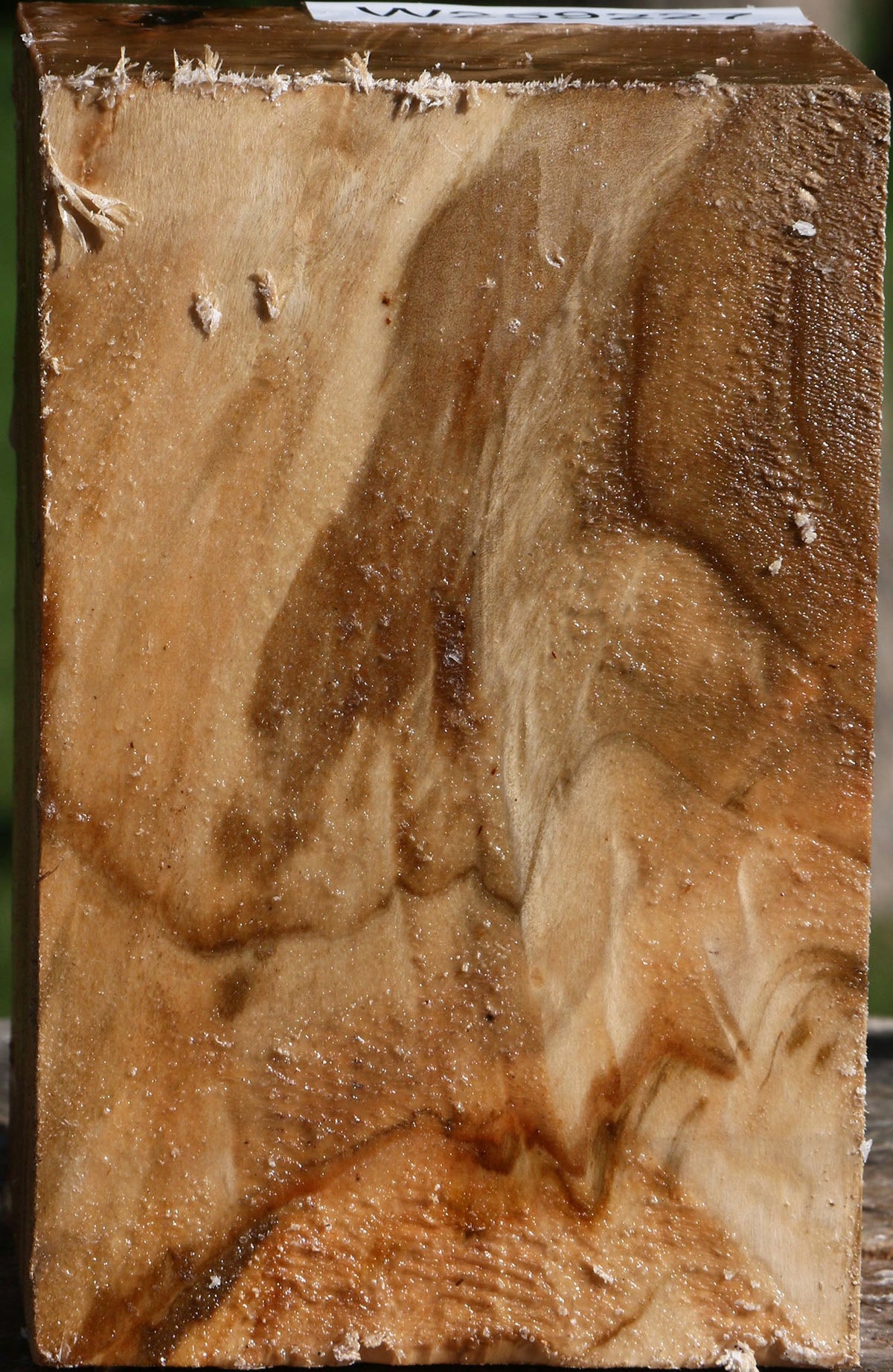 Extra Fancy Silver Maple Turning Square