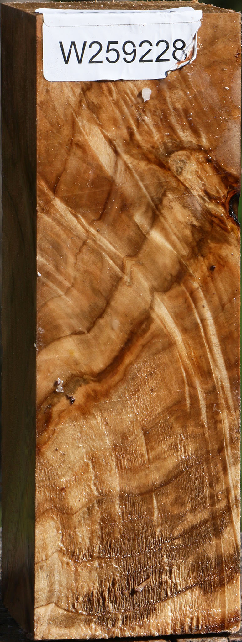 Extra Fancy Silver Maple Peppermill