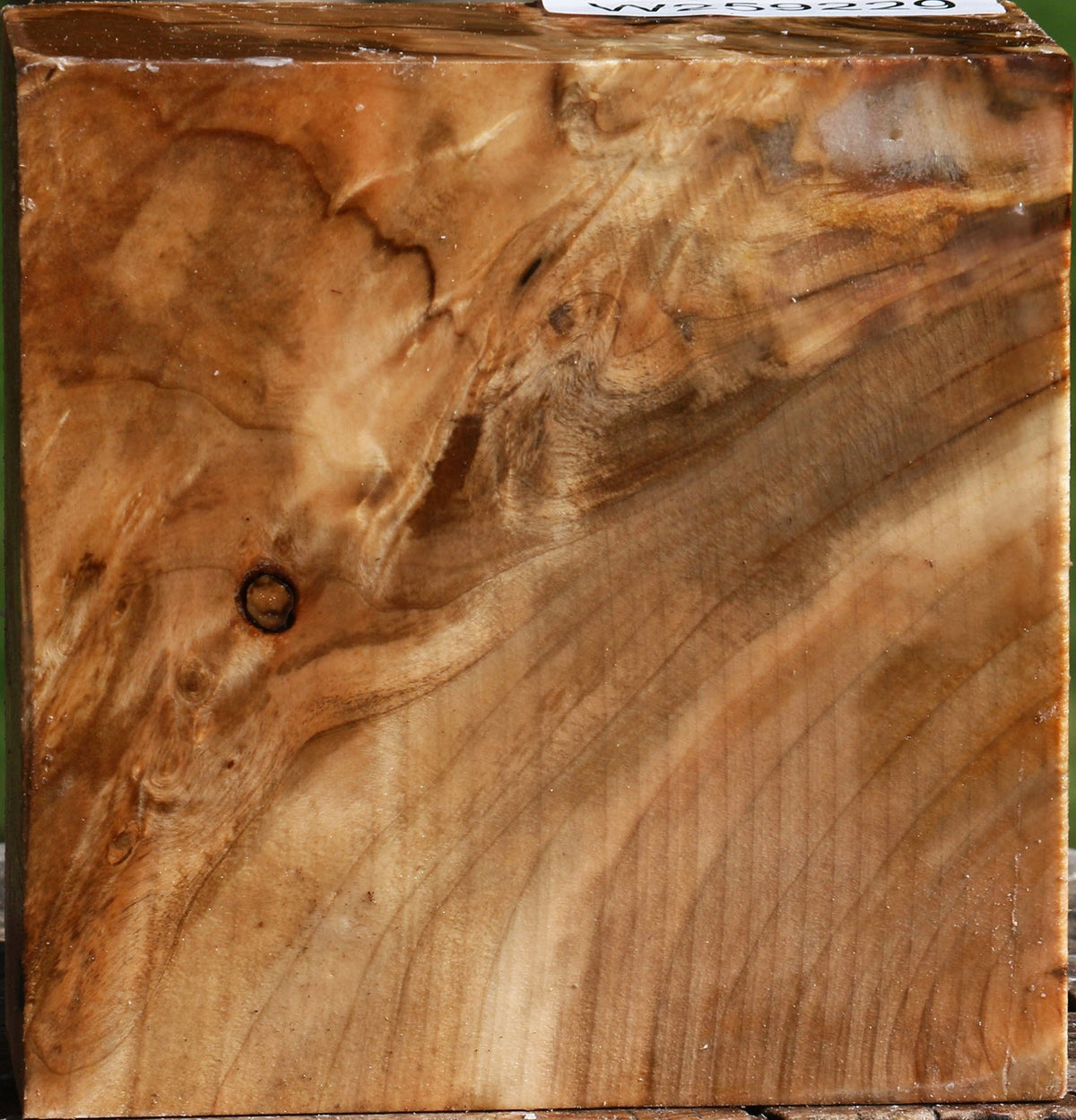Extra Fancy Silver Maple Bowl Blank