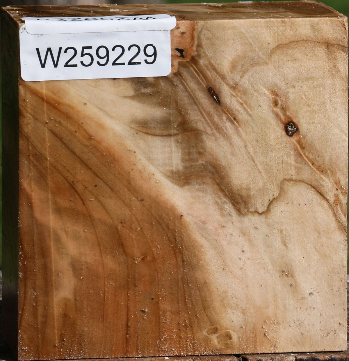 Extra Fancy Silver Maple Bowl Blank