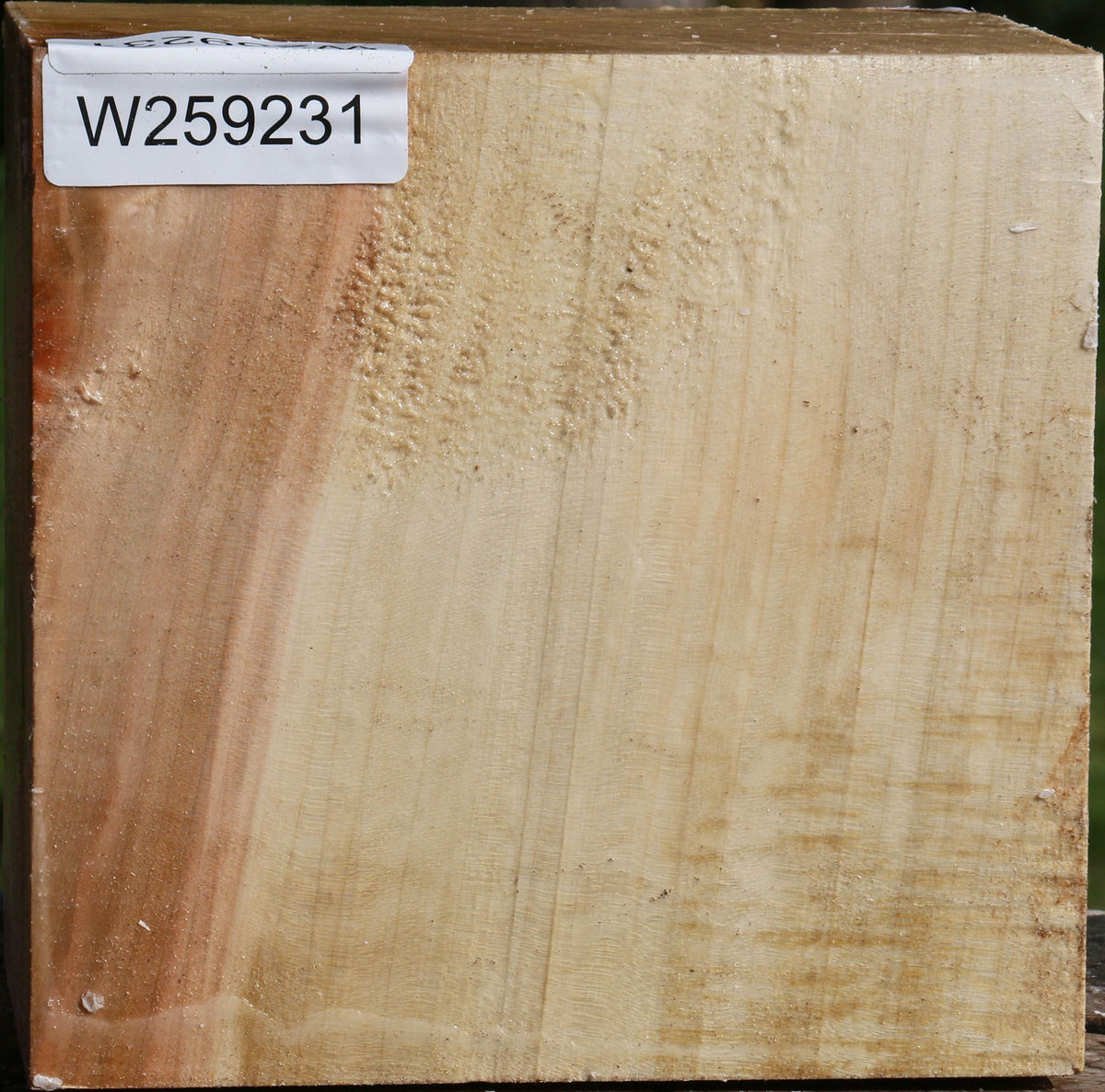 Silver Maple Bowl Blank