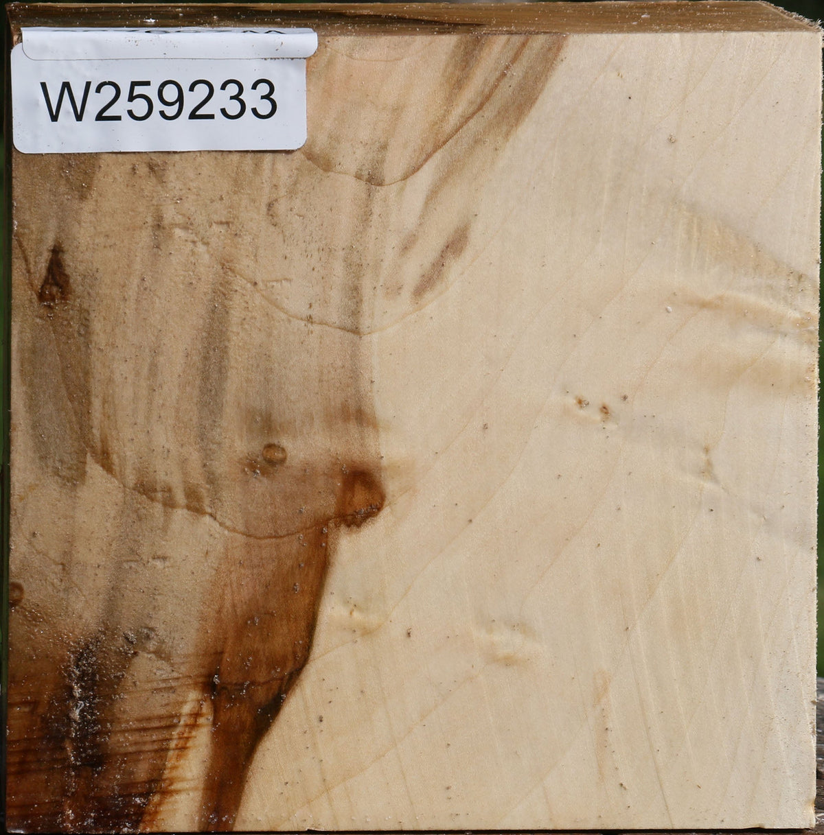 Figured Silver Maple Bowl Blank