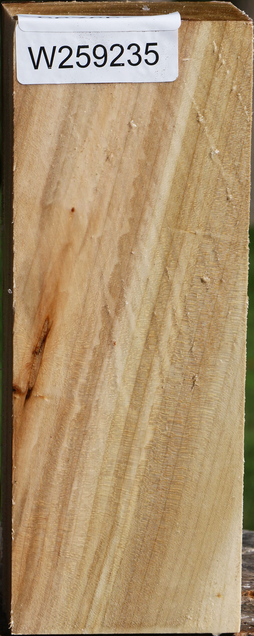Silver Maple Peppermill