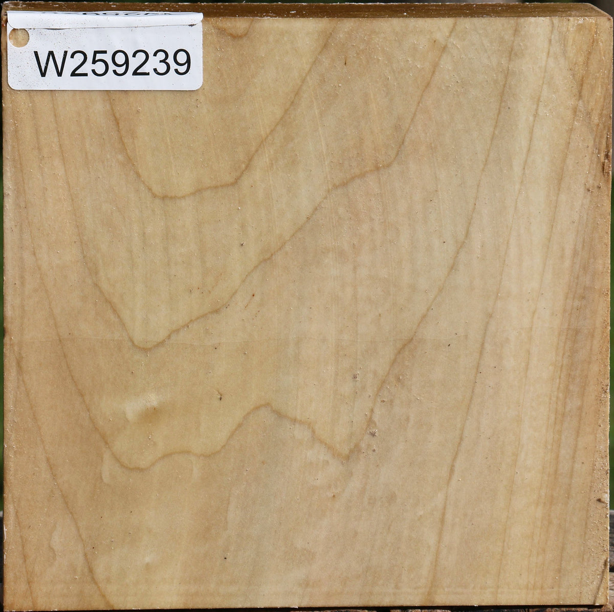 Silver Maple Bowl Blank