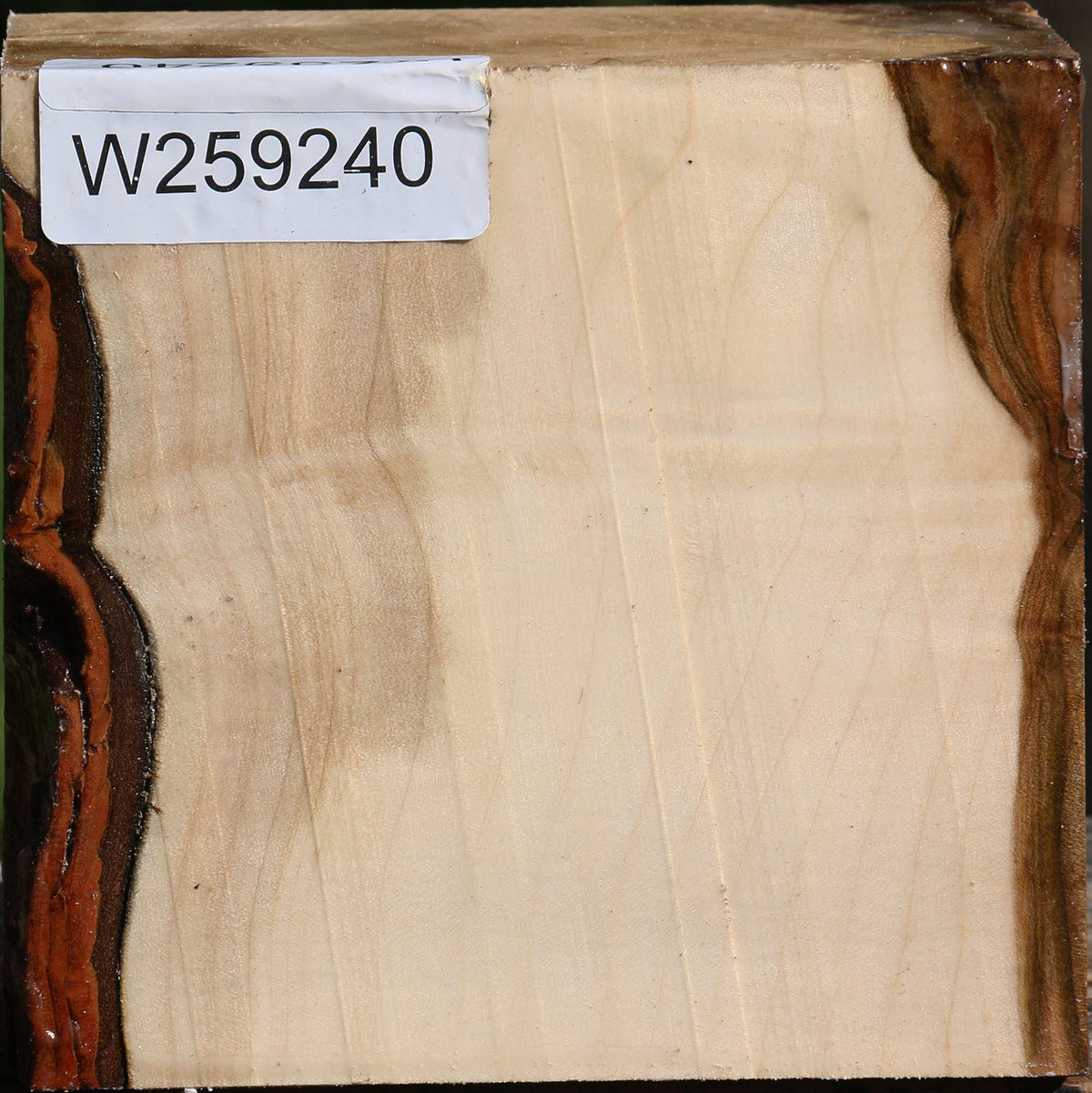 Silver Maple Bowl Blank