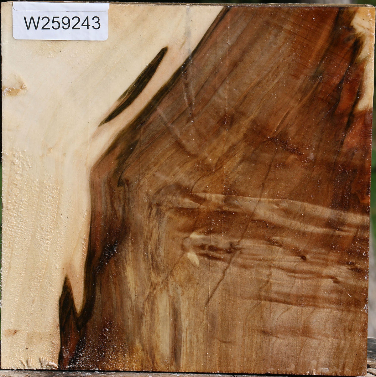 Silver Maple Bowl Blank