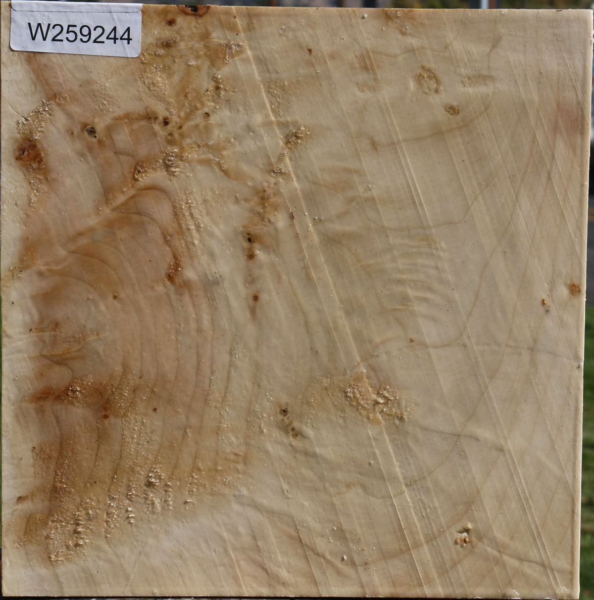 Extra Fancy Silver Maple Bowl Blank