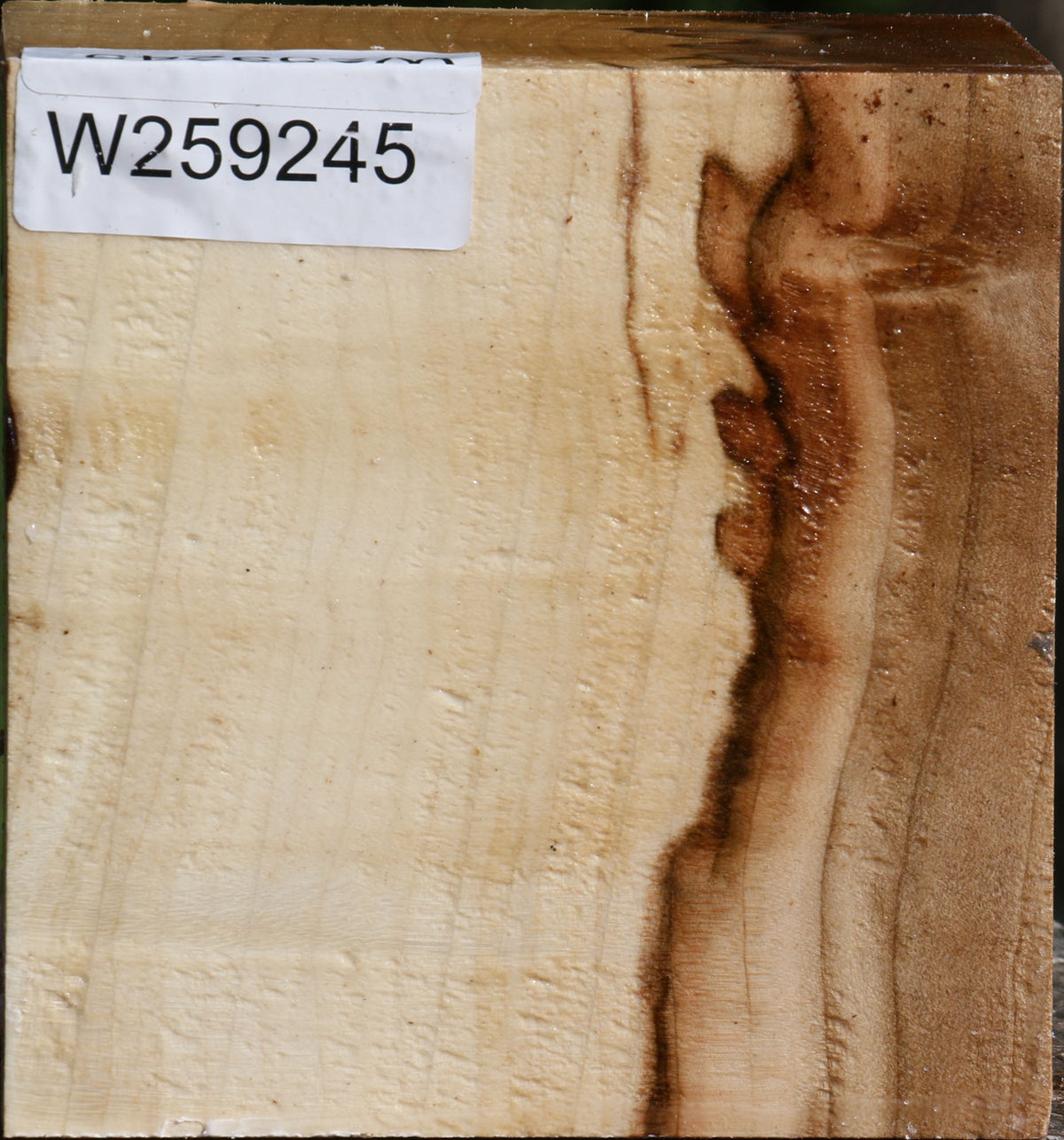 Figured Silver Maple Bowl Blank