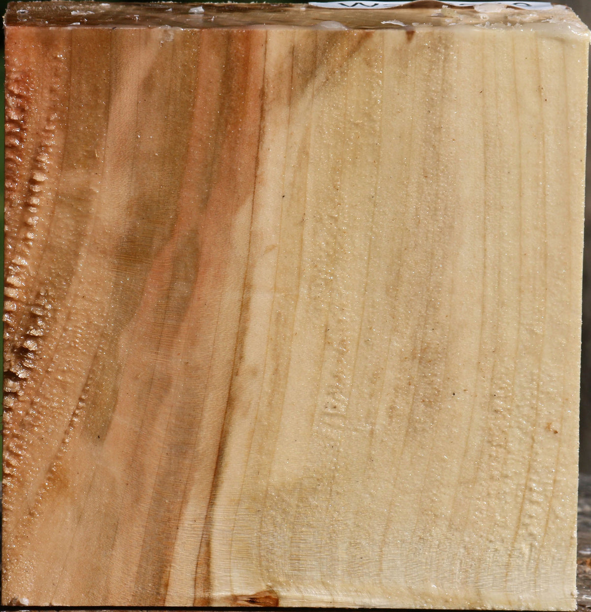 Silver Maple Bowl Blank