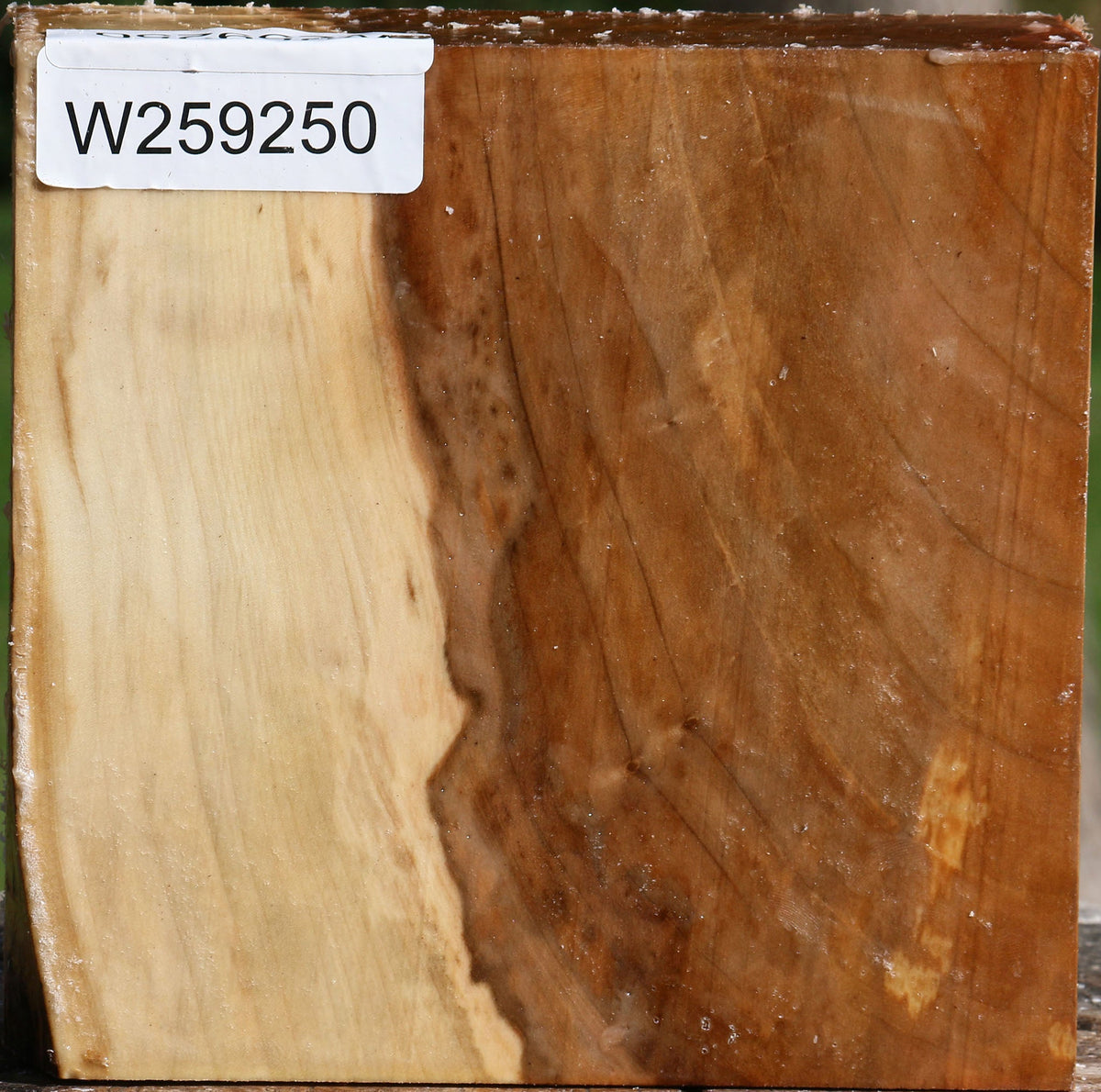 Figured Silver Maple Bowl Blank