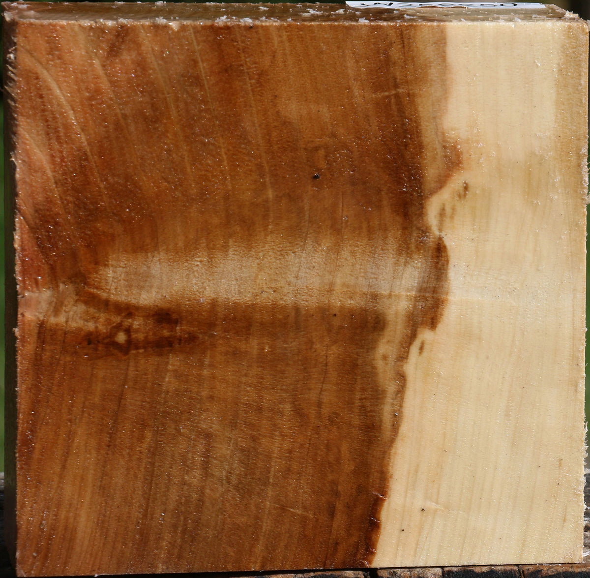 Figured Silver Maple Bowl Blank